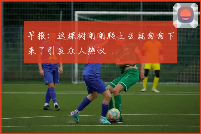 早报：这棵树刚刚爬上去就匆匆下来了引发众人热议